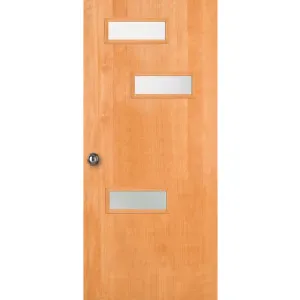 3 Horizontal Light - Exterior Modern Mid Century Solid Unfinished Doug Fir Wood Door