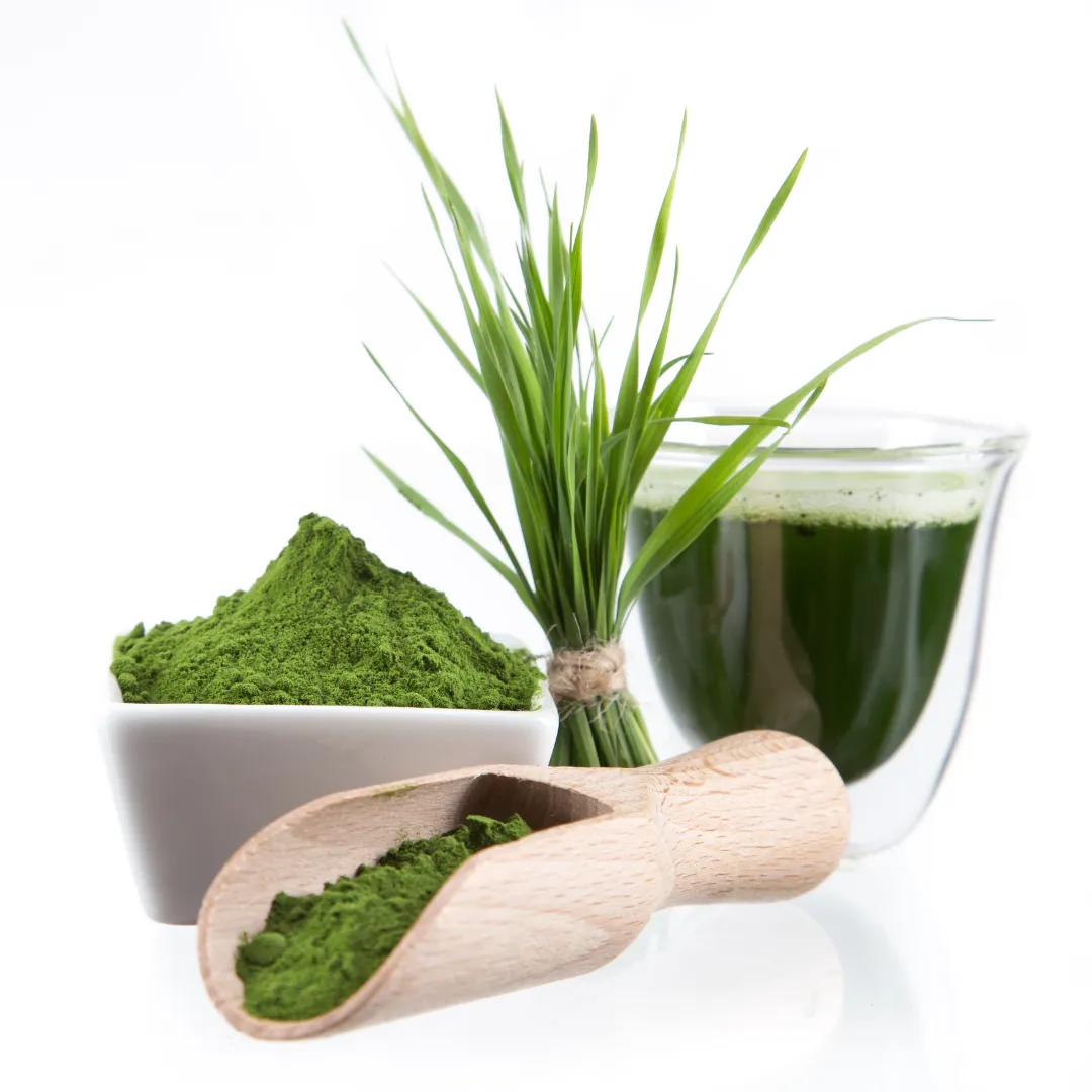 Barley Grass Powder 6oz