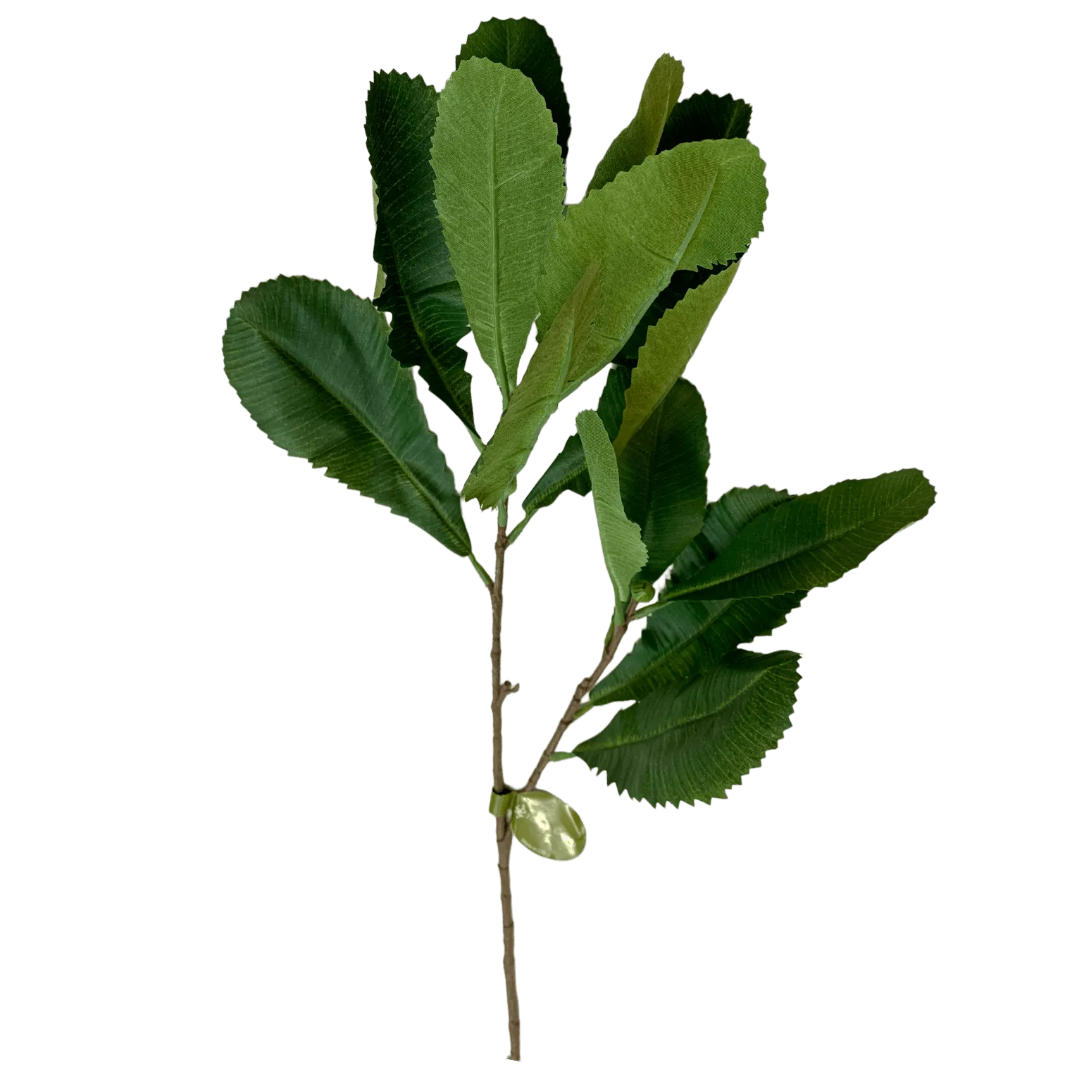 Faux Banksia Leaves Foliage