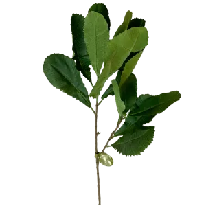 Faux Banksia Leaves Foliage