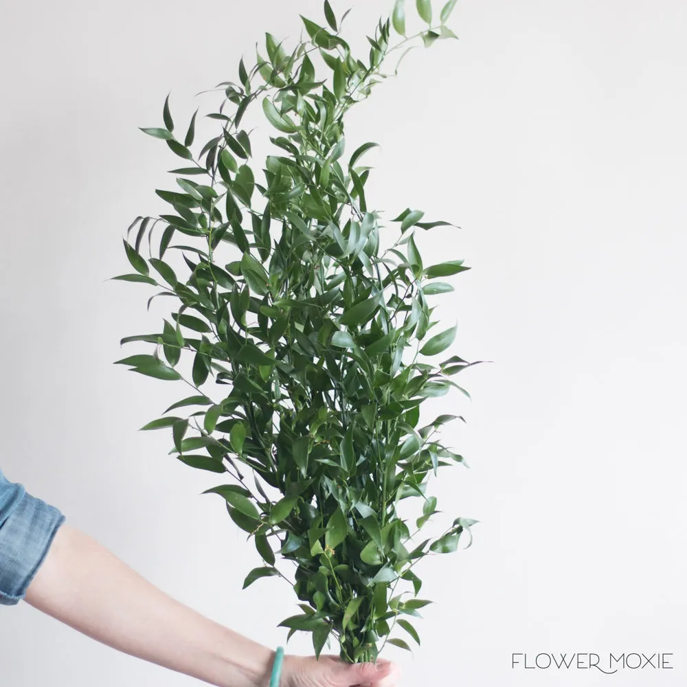 Italian Ruscus Greenery