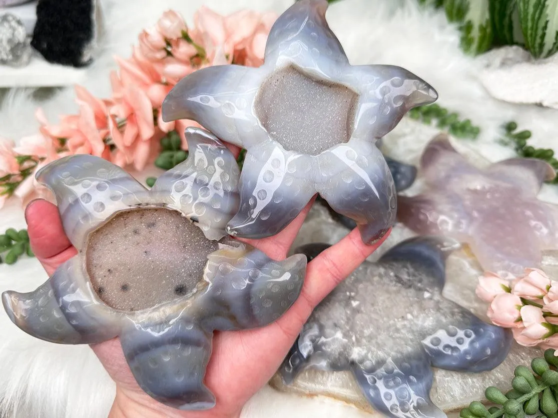 Large Agate Starfish