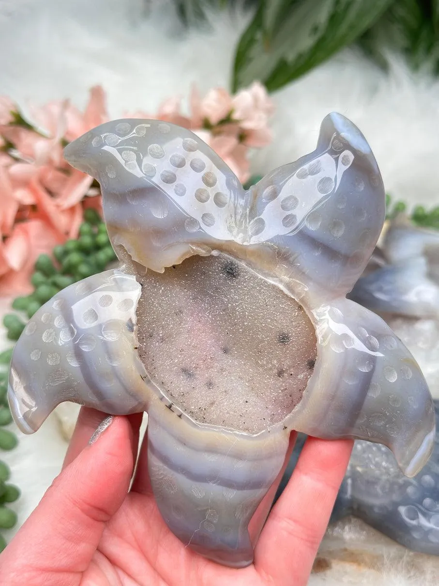 Large Agate Starfish