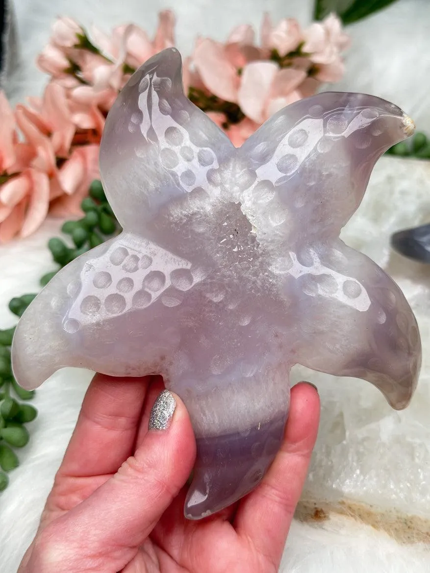 Large Agate Starfish