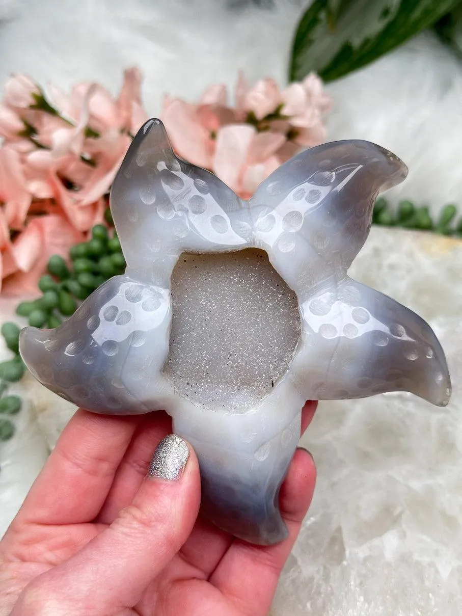 Large Agate Starfish