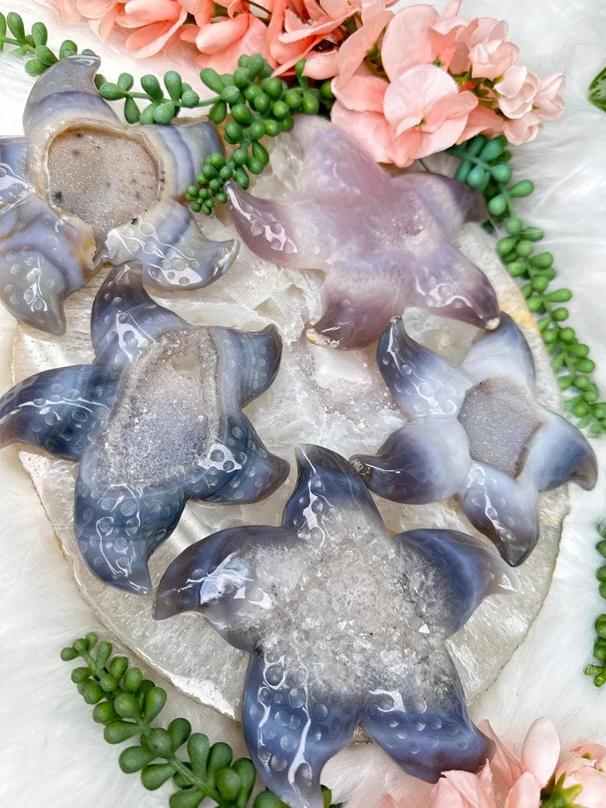 Large Agate Starfish