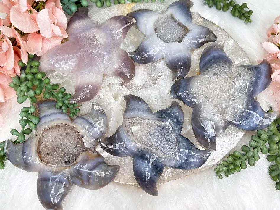 Large Agate Starfish