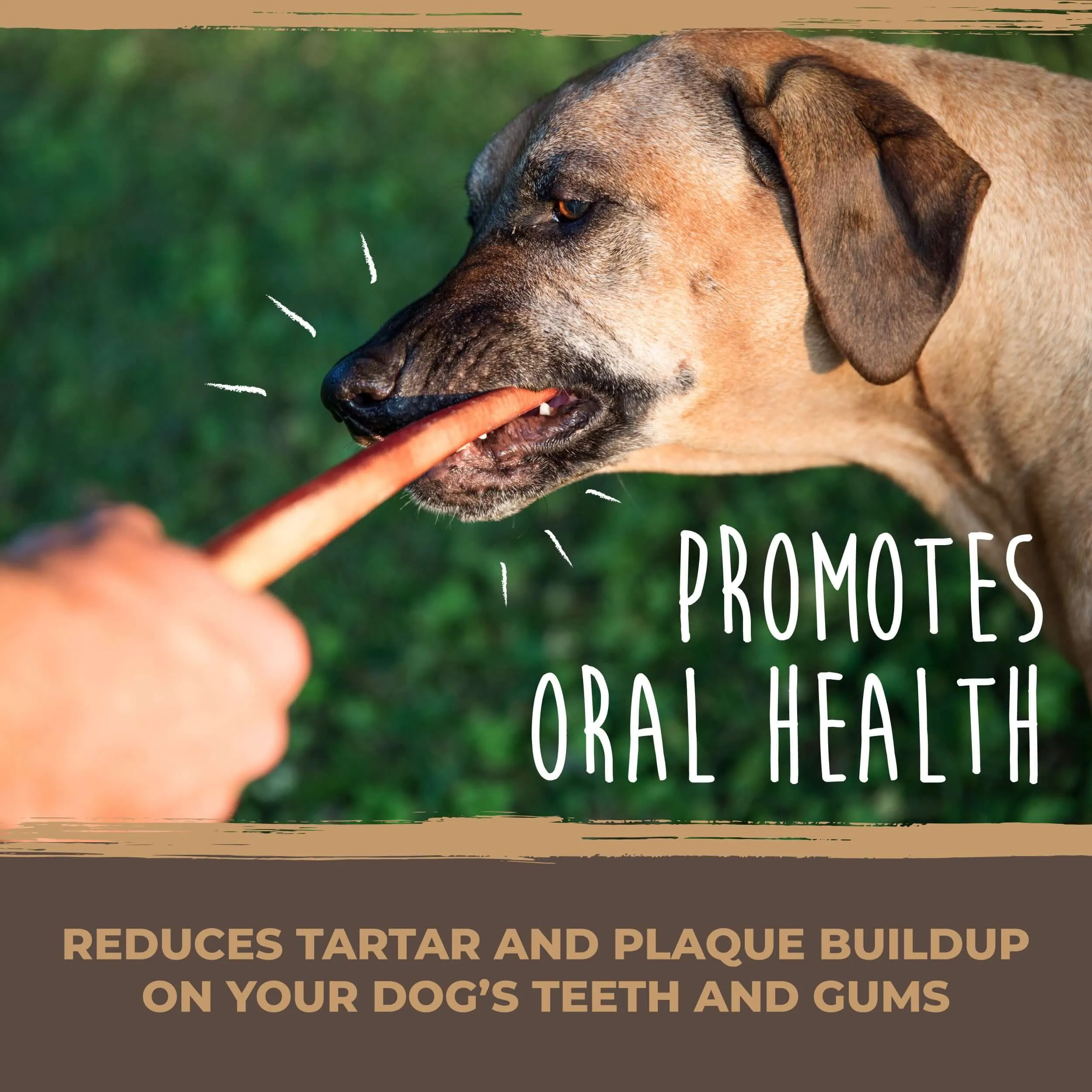 Mighty Paw Naturals Bully Sticks: All-Natural Dog Chews for Healthy Teeth and Gums