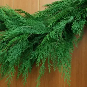 Port Orford Cedar Christmas Greenery - NOV-JAN ONLY